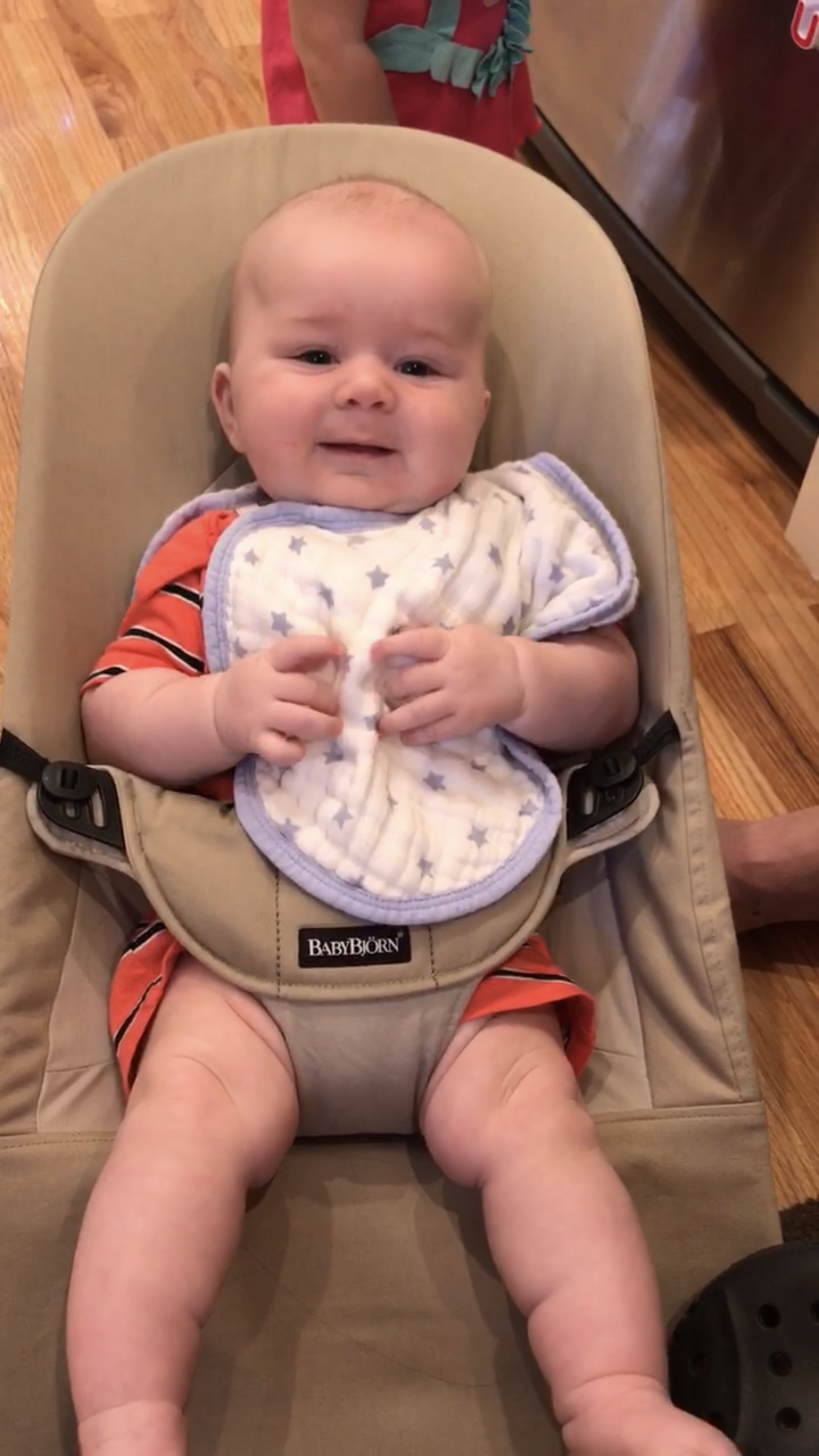 Baby Bjorn Bouncer (this is a screenshot from a video so pardon the poor quality!)