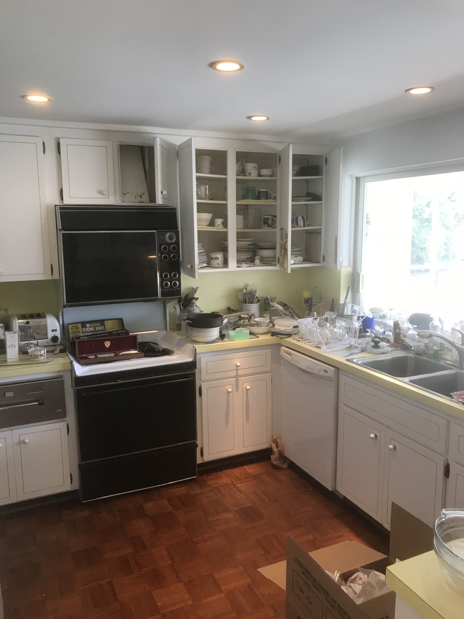 The vintage kitchen ;). Total remodel (still working on the layout) but hoping for a large island and potentially carrying the glass doors into the kitchen area to make the entire back of the house floor to ceiling glass doors.  